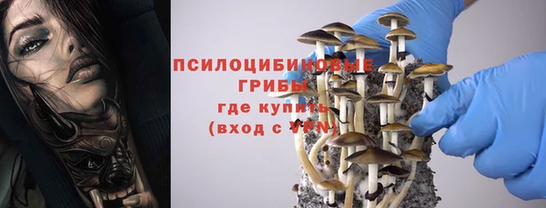 ПСИЛОЦИБИНОВЫЕ ГРИБЫ Наволоки