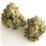 Шишки "White Widow"  (Белая вдова)  Гидропоника -  Бошка VHQ в Юрьевце